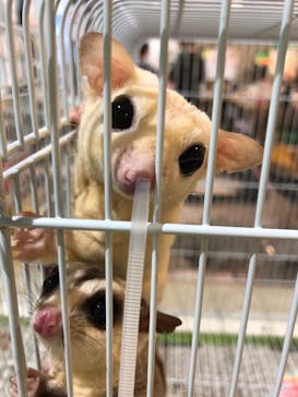 いきもの探検隊湘南に投稿された画像（2024/10/28）