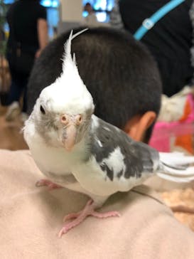 いきもの探検隊湘南に投稿された画像（2024/10/28）