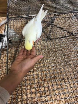 いきもの探検隊湘南に投稿された画像（2024/10/28）