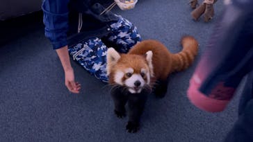 横浜・八景島シーパラダイスに投稿された画像（2024/10/28）