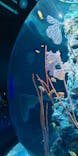 AQUARIUM × ART　atoaに投稿された画像（2024/10/28）