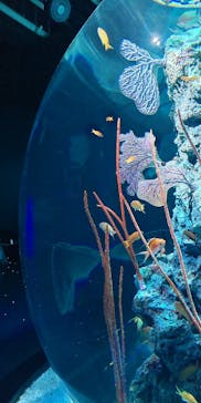 AQUARIUM × ART　atoaに投稿された画像（2024/10/28）