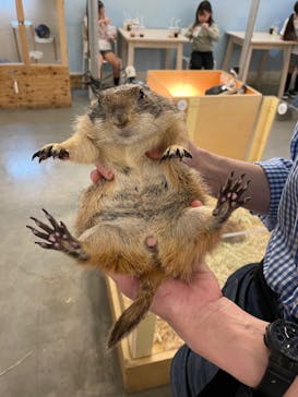 Moff アニマル カフェ イーアス 高尾店に投稿された画像（2024/10/28）