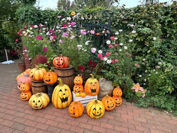 横浜イングリッシュガーデンに投稿された画像（2024/10/28）