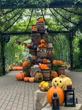 横浜イングリッシュガーデンに投稿された画像（2024/10/28）