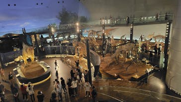 福井県立恐竜博物館に投稿された画像（2024/10/28）