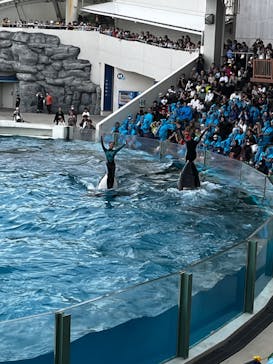 鴨川シーワールドに投稿された画像（2024/10/28）