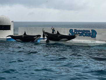 鴨川シーワールドに投稿された画像（2024/10/28）