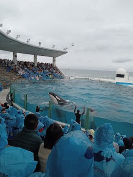 鴨川シーワールドに投稿された画像（2024/10/28）