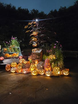 横浜イングリッシュガーデンに投稿された画像（2024/10/28）