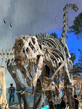 福井県立恐竜博物館に投稿された画像（2024/10/28）