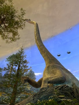 福井県立恐竜博物館に投稿された画像（2024/10/28）