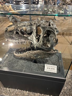 福井県立恐竜博物館に投稿された画像（2024/10/28）