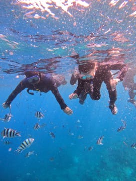 沖縄ダイビングショップシーモールに投稿された画像（2024/10/28）