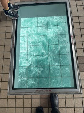 徳島県立 渦の道に投稿された画像（2024/10/28）