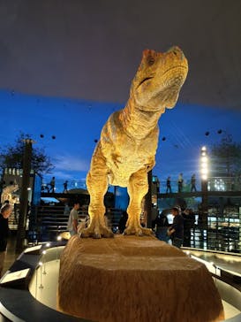 福井県立恐竜博物館に投稿された画像（2024/10/28）