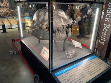 福井県立恐竜博物館に投稿された画像（2024/10/28）