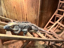 はちゅうるいばーLIRIOに投稿された画像（2024/10/29）