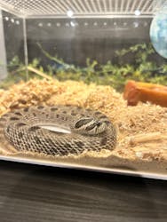 はちゅうるいばーLIRIOに投稿された画像（2024/10/29）