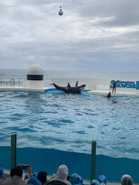 鴨川シーワールドに投稿された画像（2024/10/29）