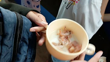 鴨川シーワールドに投稿された画像（2024/10/29）