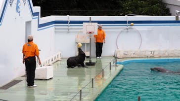 しながわ水族館に投稿された画像（2024/10/29）