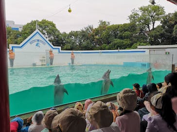 しながわ水族館に投稿された画像（2024/10/29）