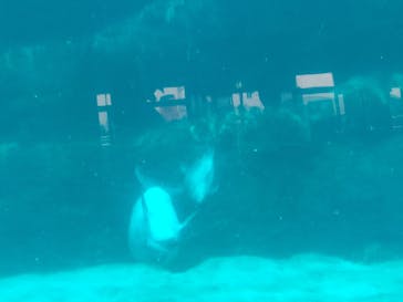 名古屋港水族館に投稿された画像（2024/10/29）