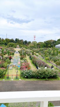 京成バラ園に投稿された画像（2024/10/29）