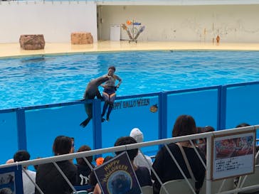 伊豆・三津シーパラダイスに投稿された画像（2024/10/29）