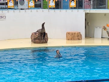 伊豆・三津シーパラダイスに投稿された画像（2024/10/29）