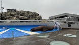 大分マリーンパレス水族館 「うみたまご」に投稿された画像（2024/10/29）