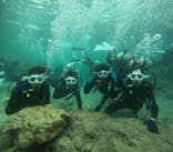 沖縄マリンサービス碧に投稿された画像（2024/10/29）