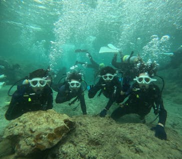 沖縄マリンサービス碧に投稿された画像（2024/10/29）