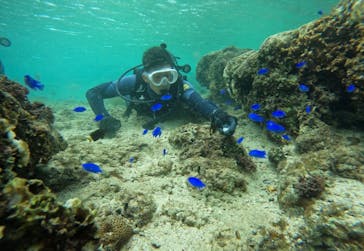 武藤潜水に投稿された画像（2024/10/29）