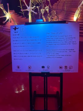 万博記念公園に投稿された画像（2024/10/29）