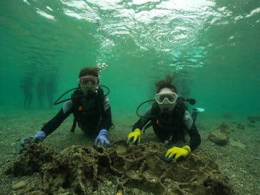 武藤潜水に投稿された画像（2024/10/29）