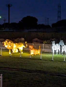 東武動物公園に投稿された画像（2024/10/29）