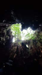 屋久島ガイド21EC-Kに投稿された画像（2024/10/29）