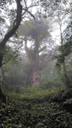 屋久島ガイド21EC-Kに投稿された画像（2024/10/29）