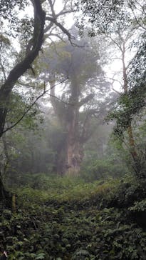 屋久島ガイド21EC-Kに投稿された画像（2024/10/29）