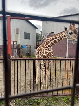 那須サファリパークに投稿された画像（2024/10/29）