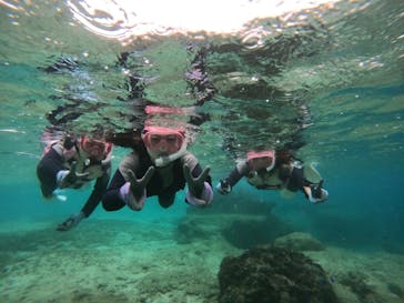 武藤潜水に投稿された画像（2024/10/29）