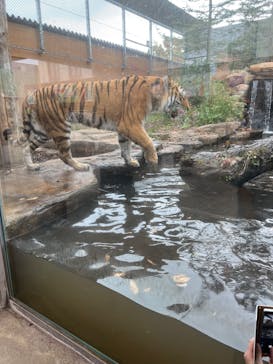 那須どうぶつ王国に投稿された画像（2024/10/29）