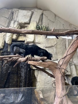 那須どうぶつ王国に投稿された画像（2024/10/29）