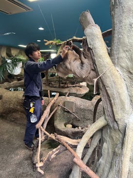 那須どうぶつ王国に投稿された画像（2024/10/29）