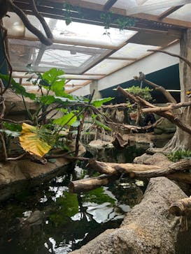 那須どうぶつ王国に投稿された画像（2024/10/29）