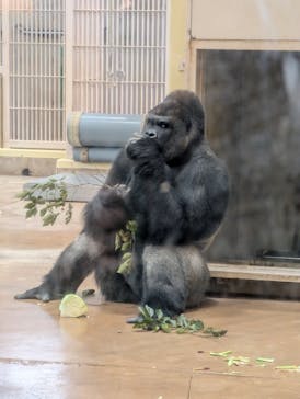 名古屋市東山動植物園に投稿された画像（2024/10/29）