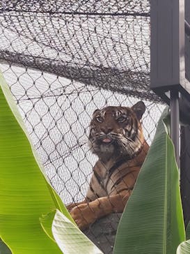名古屋市東山動植物園に投稿された画像（2024/10/29）