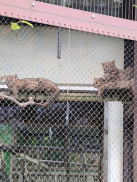名古屋市東山動植物園に投稿された画像（2024/10/29）
